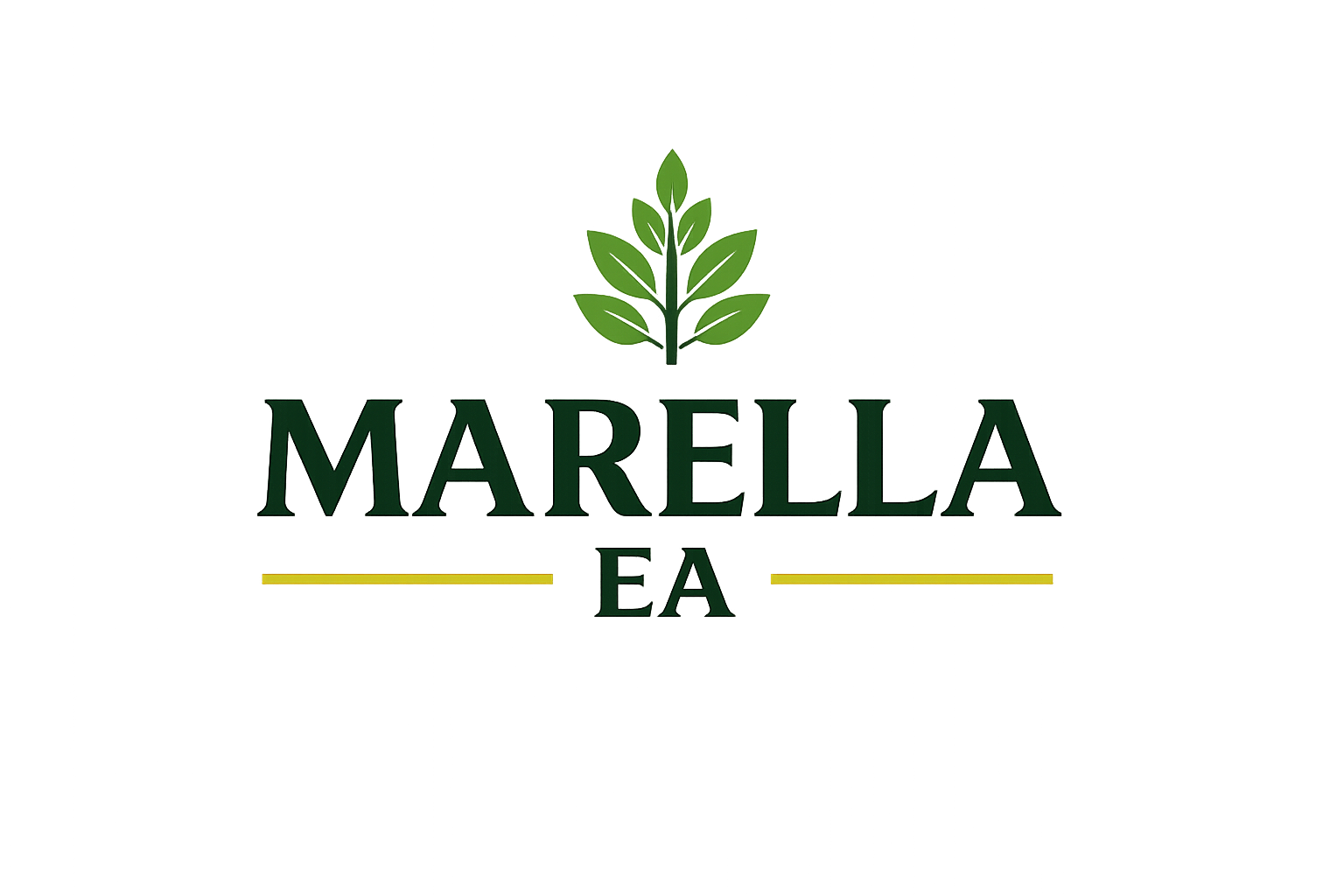 My Website